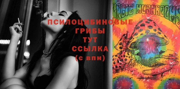 не бодяженный Алексин