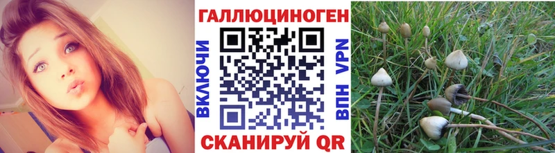 закладки  Бодайбо  Галлюциногенные грибы Magic Shrooms 