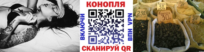 закладки  Бодайбо  Канабис план 